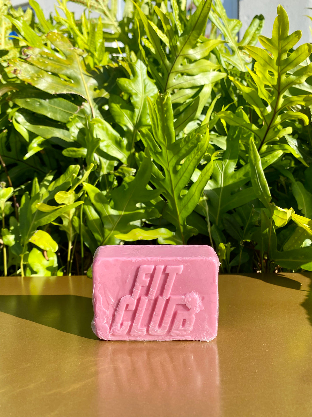 Fit Club Vegas- Soap